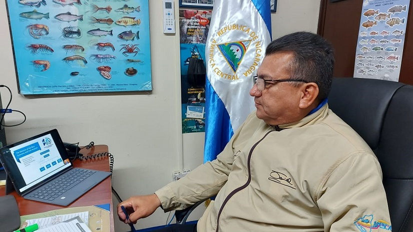 pesca